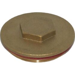 Surecal Plug for Immersion Heater